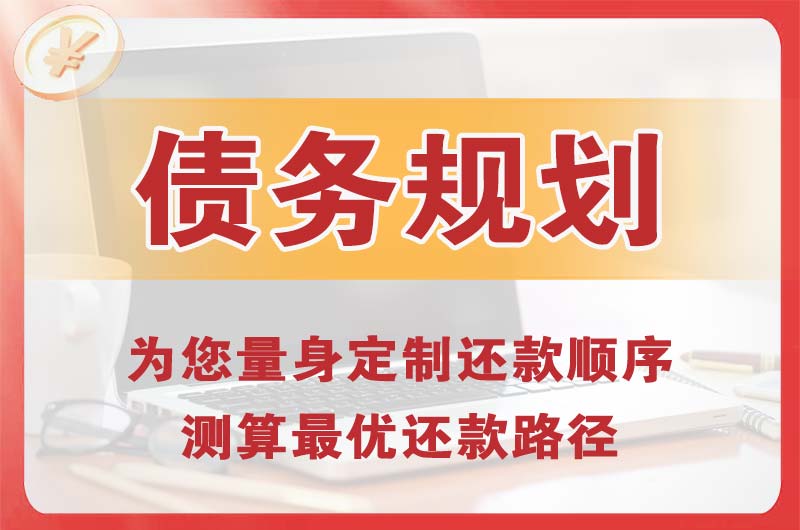 桐柏债务规划